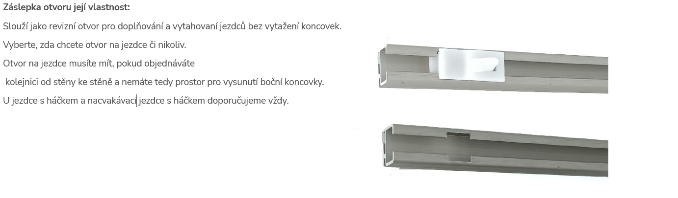 Snímek obrazovky 2025-04-16 110257